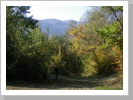 Herbstlicher Wanderweg in Spalona